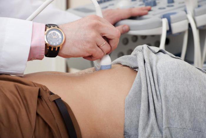 abdominal ultrasound which examine