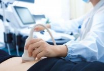 Abdominal ultrasound, St. Petersburg: where do how to prepare?