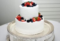 Cake with berries: some great recipes
