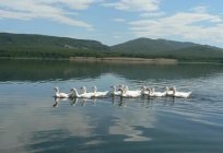 El lago Узункуль: descripción, donde se encuentra, el de la foto