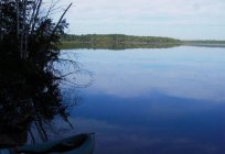 Reservoir Vyshnevolotskiy, Tver oblast: history, description, leisure, fishing