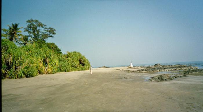 morjim plajı, goa fotoğraf