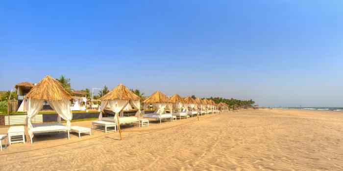 Morjim beach Goa photo