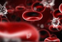 Low platelets in blood: causes and ways to improve