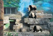 北京动物园：描述、工作时间，如何获得、评论