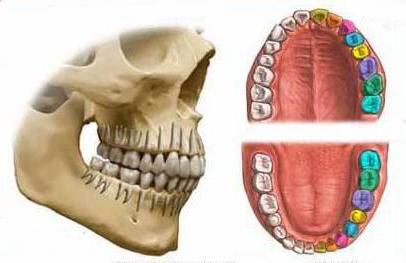 la definición de la relación de los maxilares en ausencia total de
