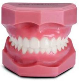 вызначэнне цэнтральнага суадносін сківіц пры поўнай страты зубоў