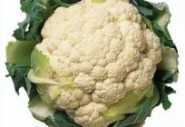 Why not ensued cauliflower? Find the answer to this question