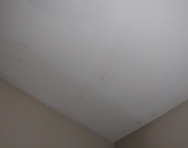 ceiling repair in the bathroom