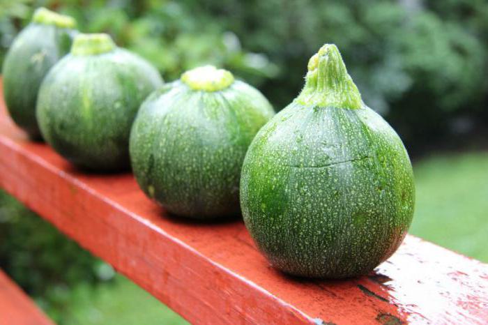 what is different zucchini from zucchini