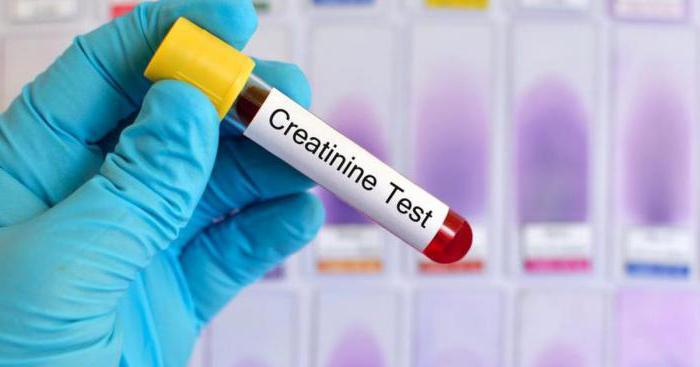 creatinine in blood is normal