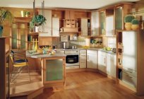 Kitchen design: pictures, ideas, tips