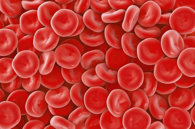 nasıl gösterilir hemoglobin testlerinde