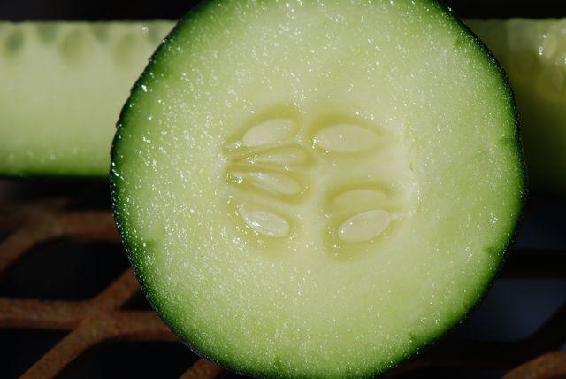 how to get the seeds of cucumbers