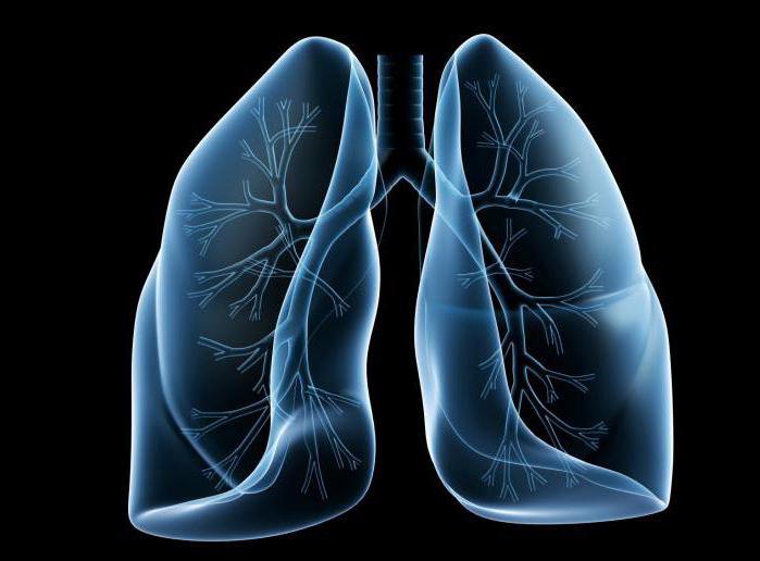 Transplante de pulmão