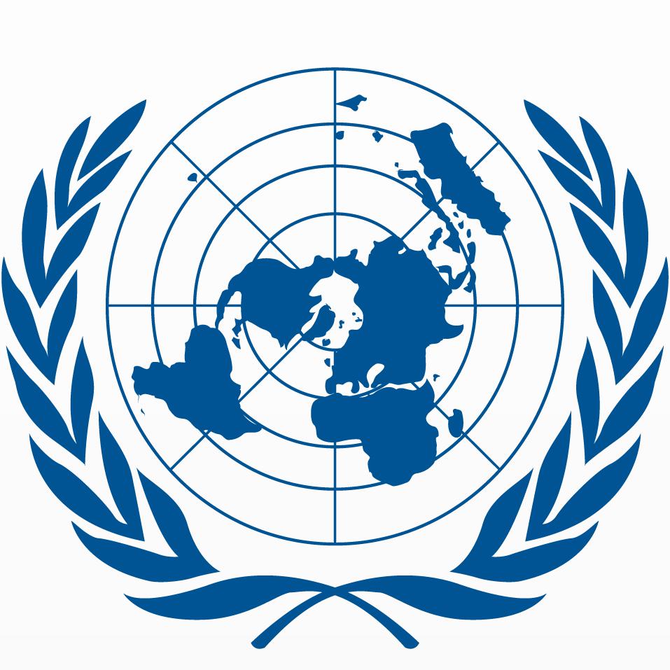 internationale Organisation