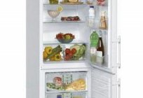 冰箱利CES4023：规格和评论
