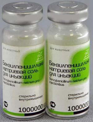 Benzylpenicillin Natriumsalz Anwendungshinweise