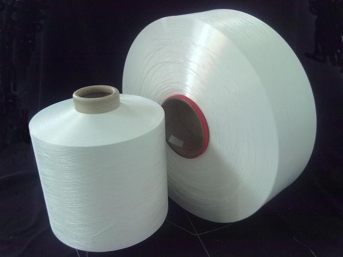 Polyester-Fasern