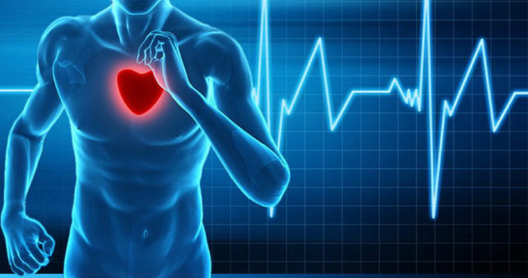 Здорове серце і тиск