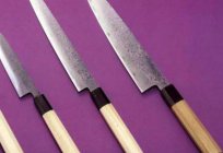 Kitchen knife universal: features, basic features