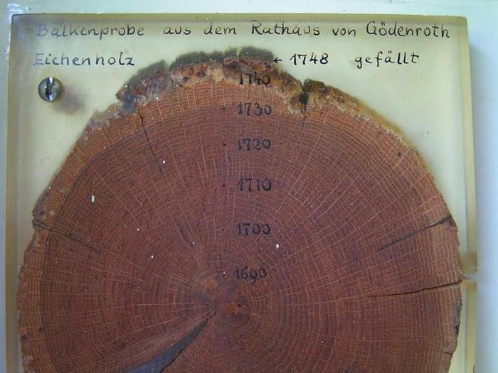 radiocarbon Dating accuracy