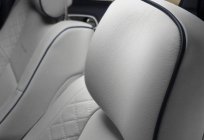 The headrest in the car: review, choice. Car cushions and headrests