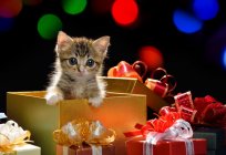 Can I re-gift gifts: omens, superstitions and reality