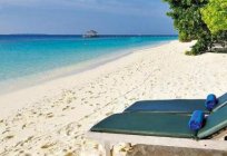 Royal Island Resort & Spa 5* (Мальдіви): опис номерів, сервіс, відгуки