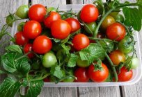 What potash fertilizer for tomatoes are suitable optimally?