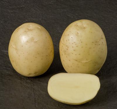 las patatas de Semilla nevsky