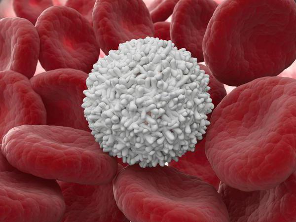 leukocytów w kale u dziecka