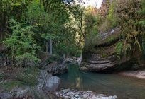 Kanyonlar, nehir Псахо: fotoğraf ve gezi