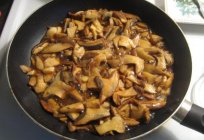 How to handle the mushrooms: cooking, storing. How fast processing of quick frozen?