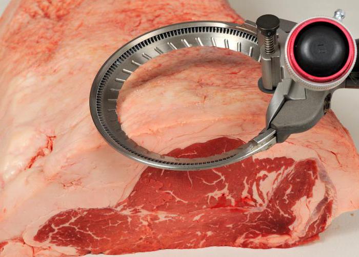 tratamento primário de carne da carne