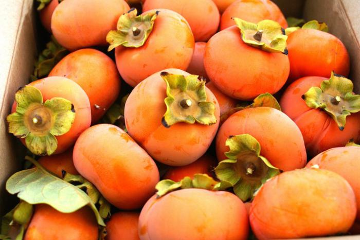 how useful is the persimmon for men