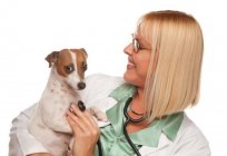 State veterinary clinics in Moscow: addresses, phone numbers, opening hours, reviews