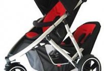 How to choose a stroller for your dogodkov?