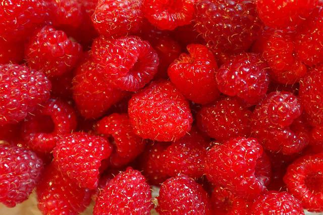 fertilizer for raspberries