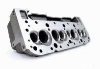 The cylinder head: structure and purpose