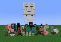 Minecraft: कैसे को दूर करने के लिए निजी व्यक्ति