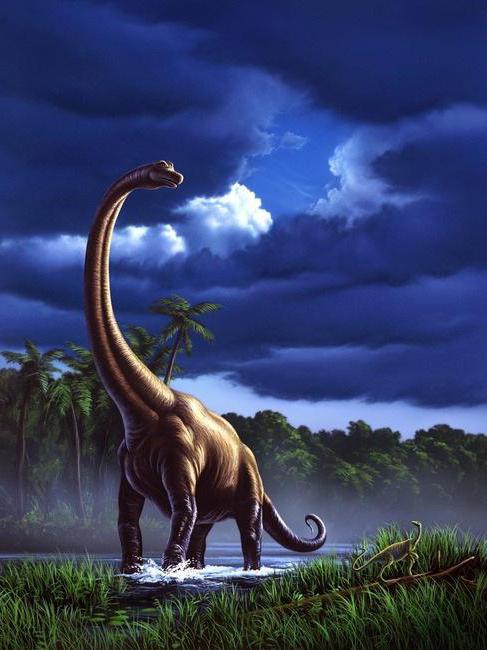 динозаври хижі і травоїдні