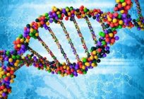 What is the genotype? The value of the genotype in scientific and educational spheres