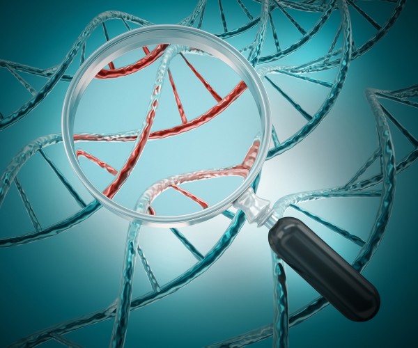 Nukleotide in der DNA