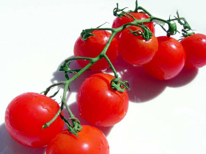 tomates cereja no inverno