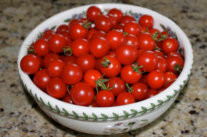 tomates cherry pieza en invierno