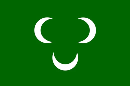 flag of Libya photo