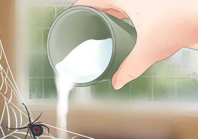 як позбутися від павуків в будинку