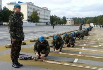 Высокомобильные десантные do exército (AIRBORNE) da Ucrânia