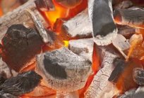 Як вибрати вугілля для шашлику?